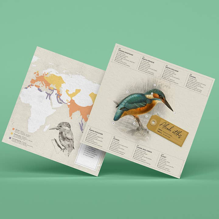 Today is Art Day – wholesale DIY craft kit – Common Kingfisher - Bird 3D Paper Figure by Plego