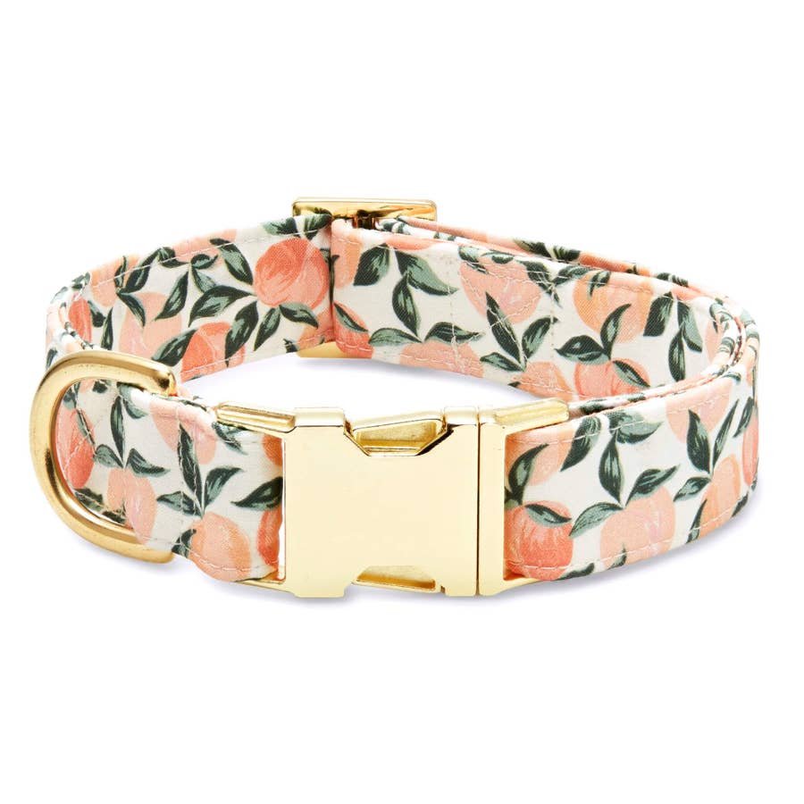 Purchase Wholesale dog collar hardware. Free Returns & Net 60 Terms on Faire