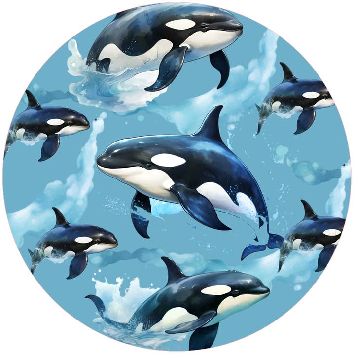 Orcas for wholesale by Andreas