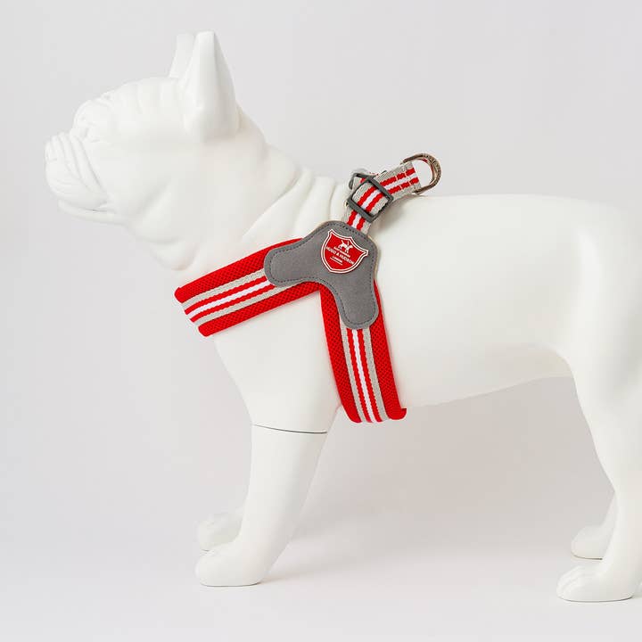Hugo & Hudson – wholesale Pet harness – Dog – Easy Walk V Dog Harness - Red