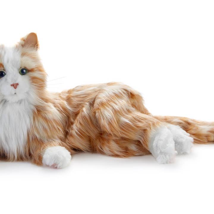 Roboter-Katze | "Rot-weiß" für den Großhandel von Zirbelino