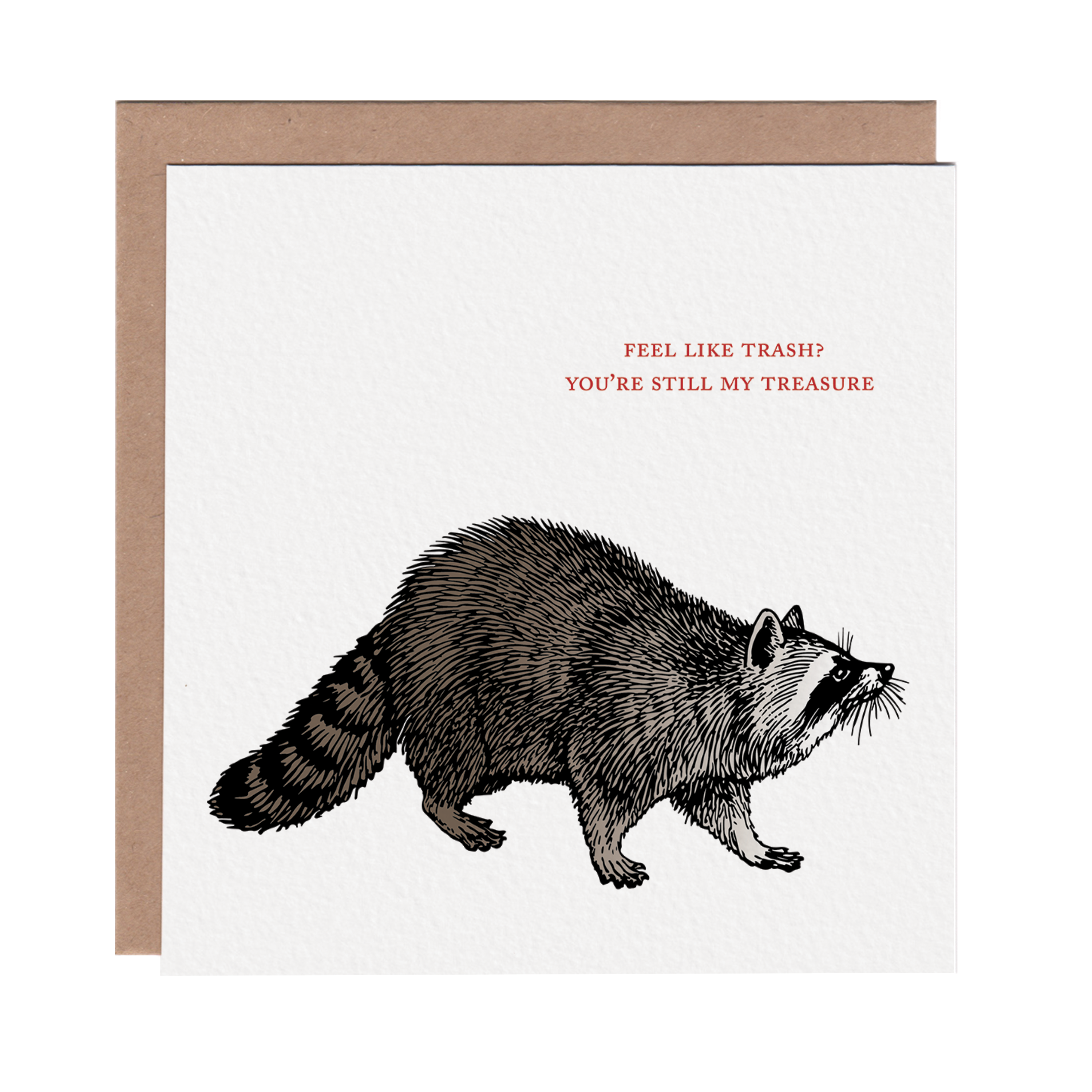 Ampersand M Studio - Wholesale Love Card - My Treasure Raccoon Friendship Greeting Card0