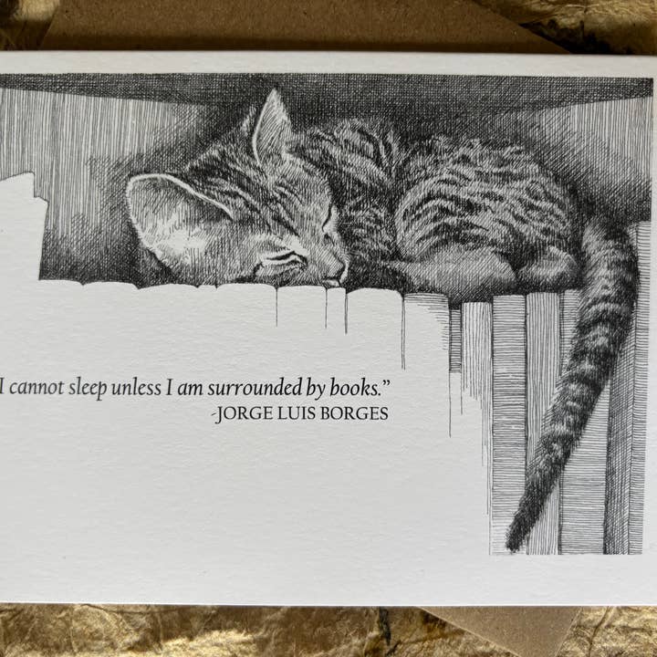 Karen Ritz Cards - Wholesale Everyday Greeting Card - Books & Beasts Cat Book Fun Notecard2