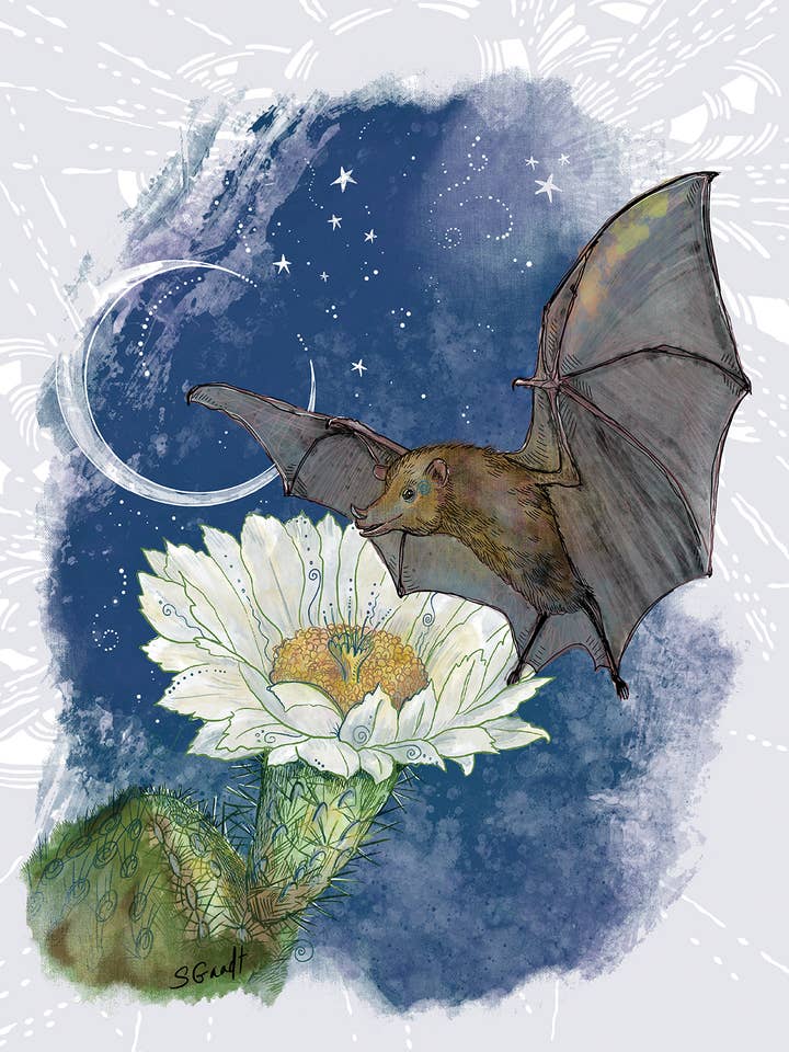 Carte de chauve-souris avec fleur de cactus pour la vente par Give A Fig
