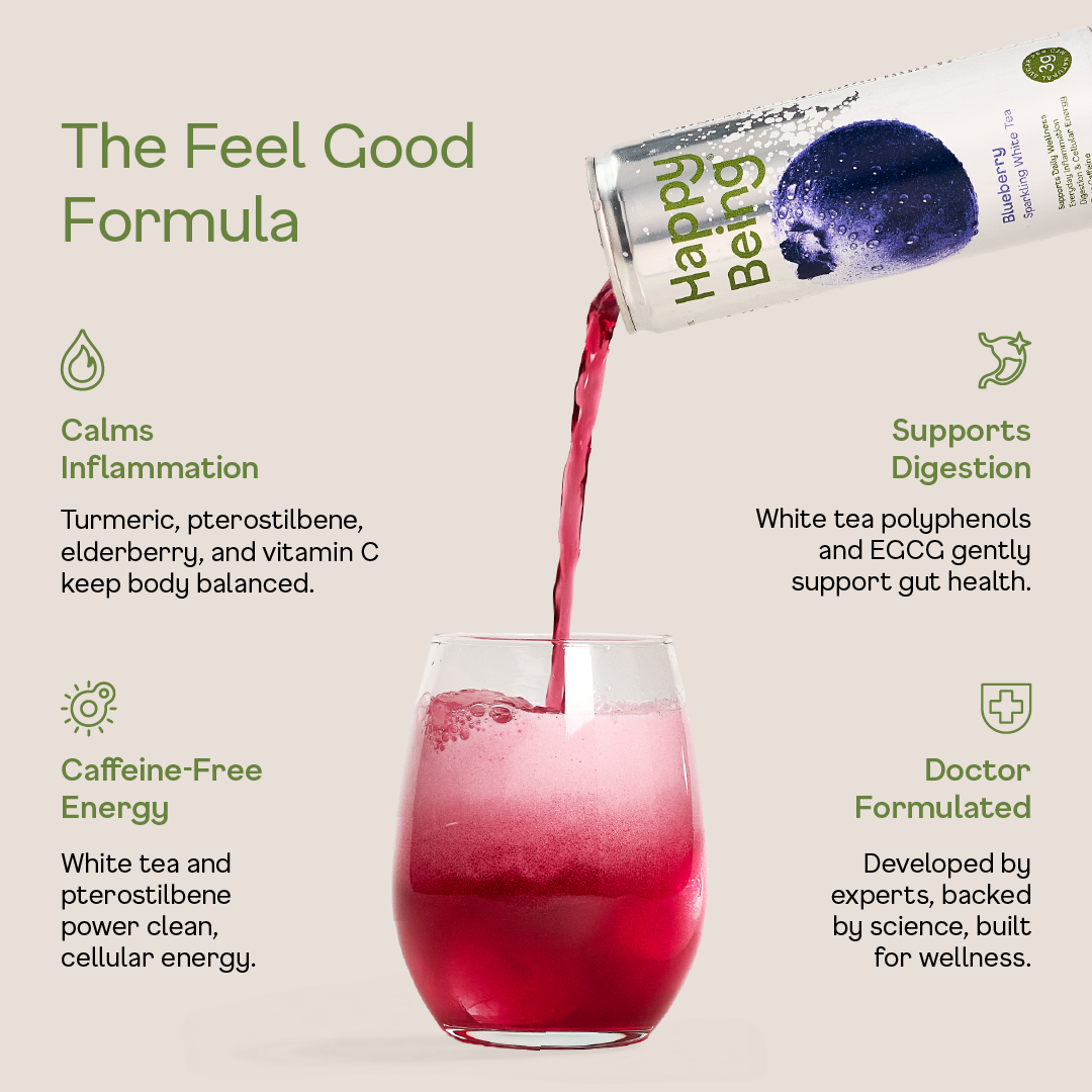 Happy Being - Wholesale Iced Tea - 16 pack Sparkling Variety2