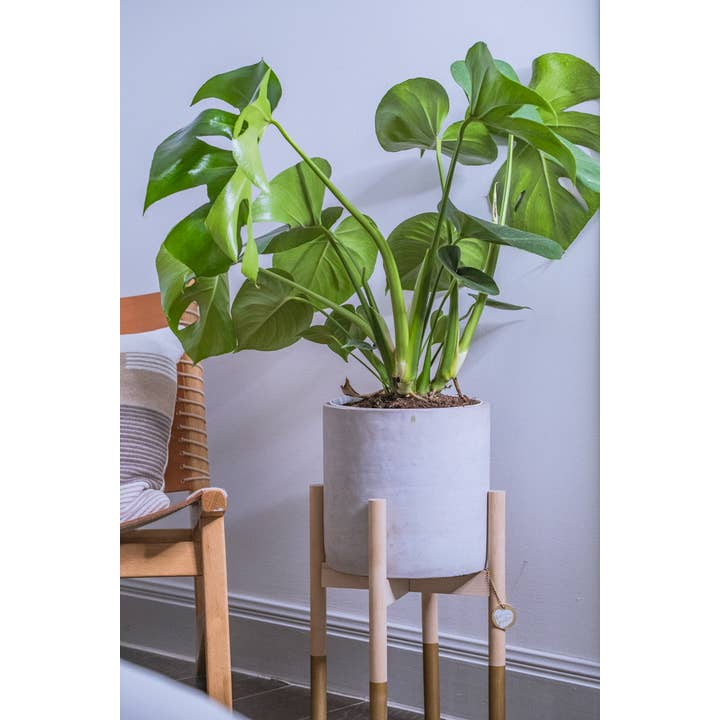 Hold on to Your Plants – wholesale Plant pot stand – Modern Plant Stand 7"3