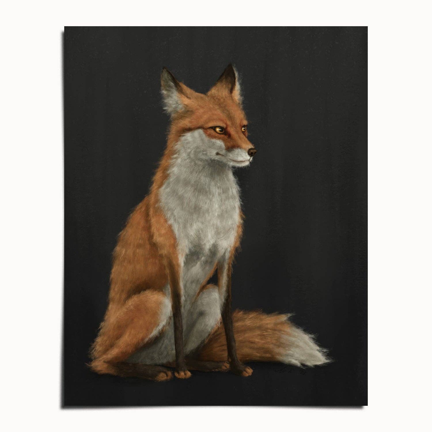 The Ugly Cat Studio - Wholesale Art Print - Red Fox Fine Art Print - Black Edition2
