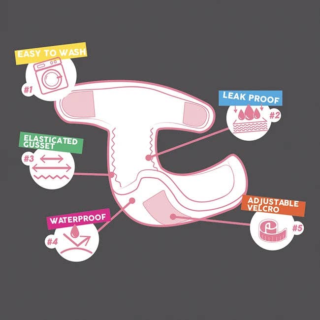 Croci - Wholesale Pet Diaper - Dog - Wrappah Washable Hygienic Panties1