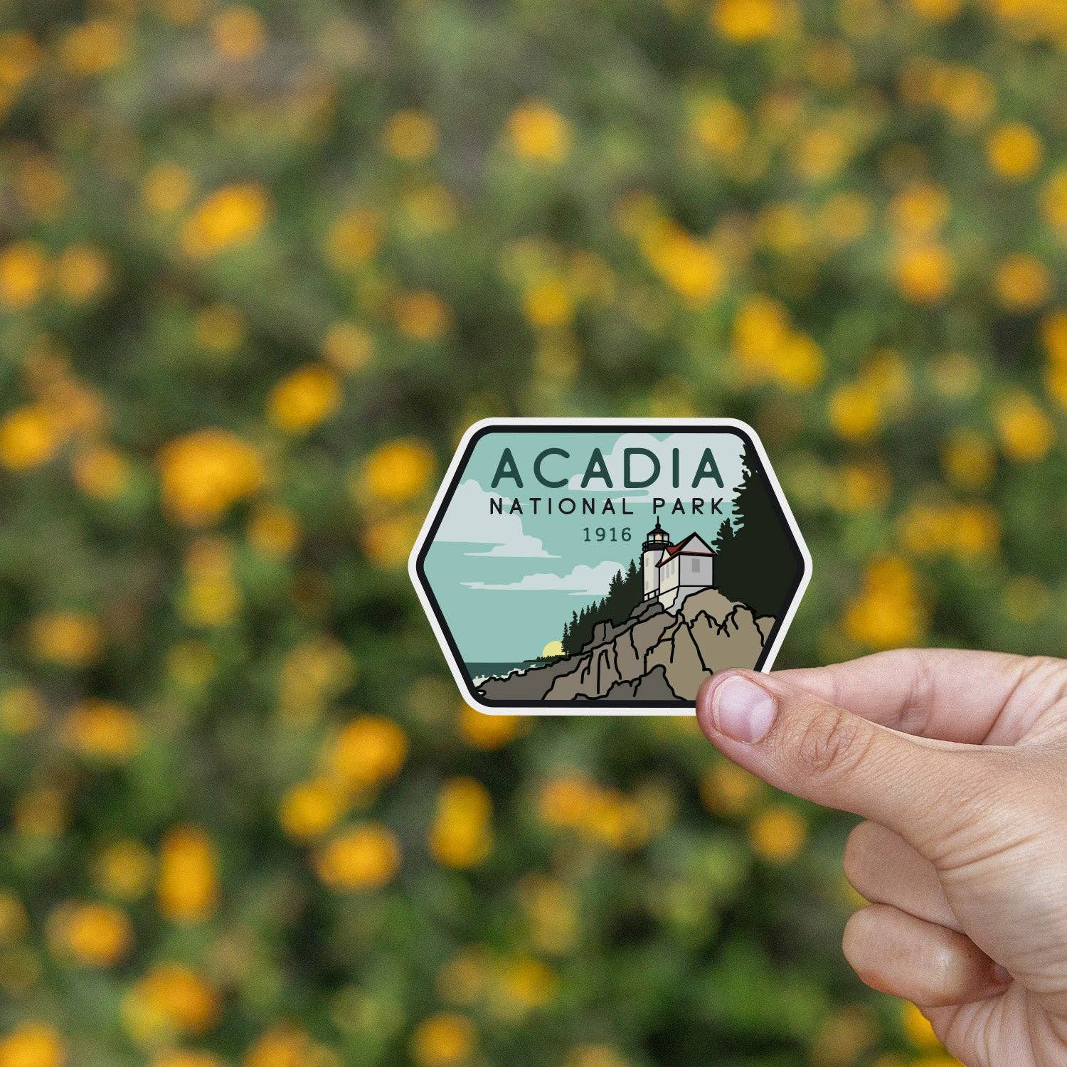 Squatchy - Wholesale Sticker - Acadia National Park Sticker9