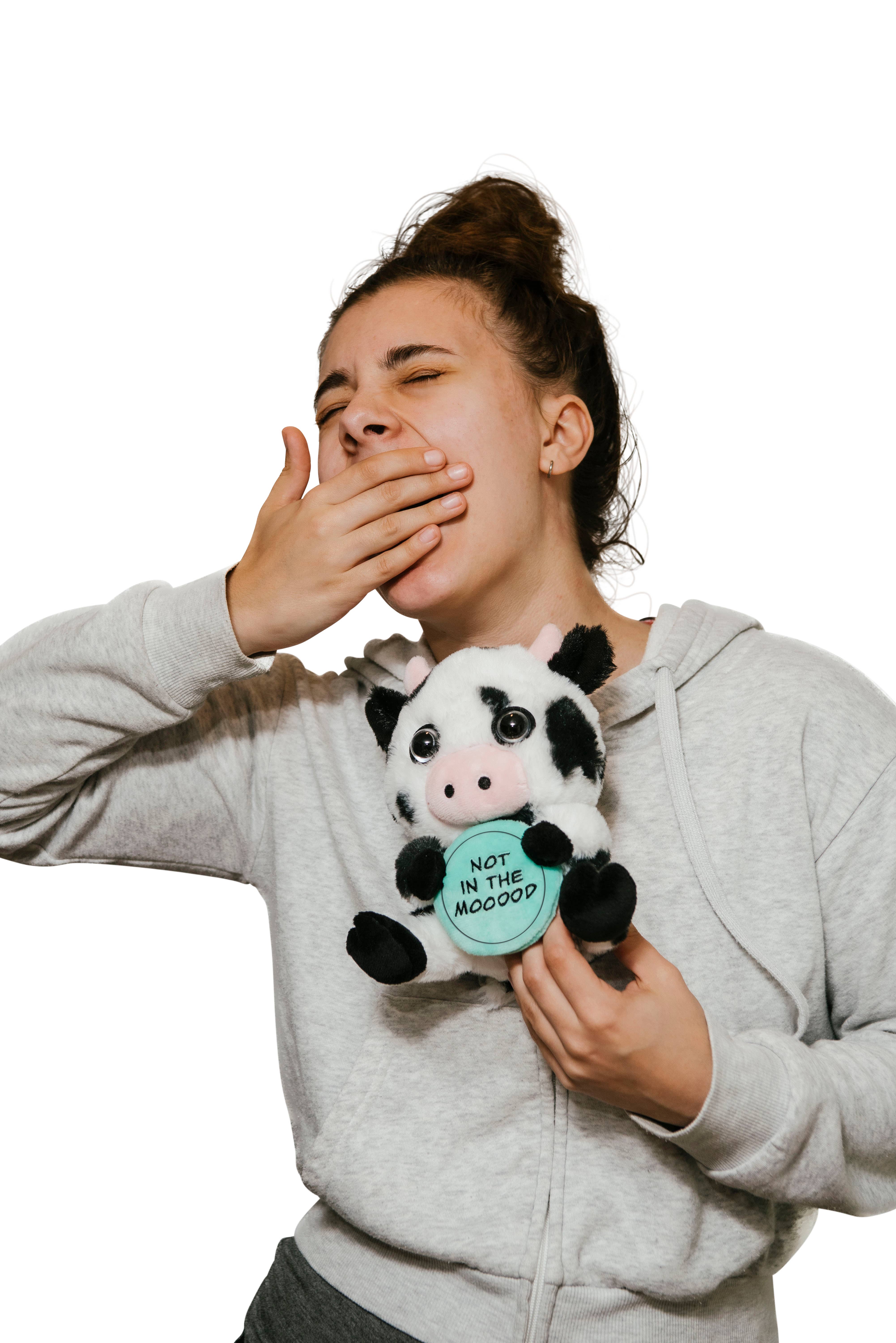 Punchkins - Wholesale Stuffed/Plush Toy - Kids & Baby - Plush Cow  Soft Cuddly Perfect For Gifting Toy Funny Cute1