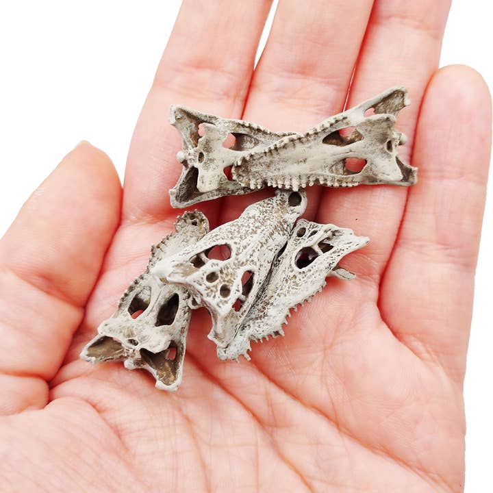 The Scale Grail - Wholesale Decorative Figurine - Crocodile Skull - 1:12 scale replica reptile skull for diorama, dollhouse, terrariums, art craft supplies curiosities oddities (set of 5)