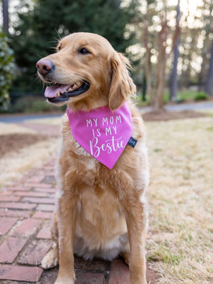 My Mom Is My Bestie Dog Bandana for wholesale by Tails Up, Pup