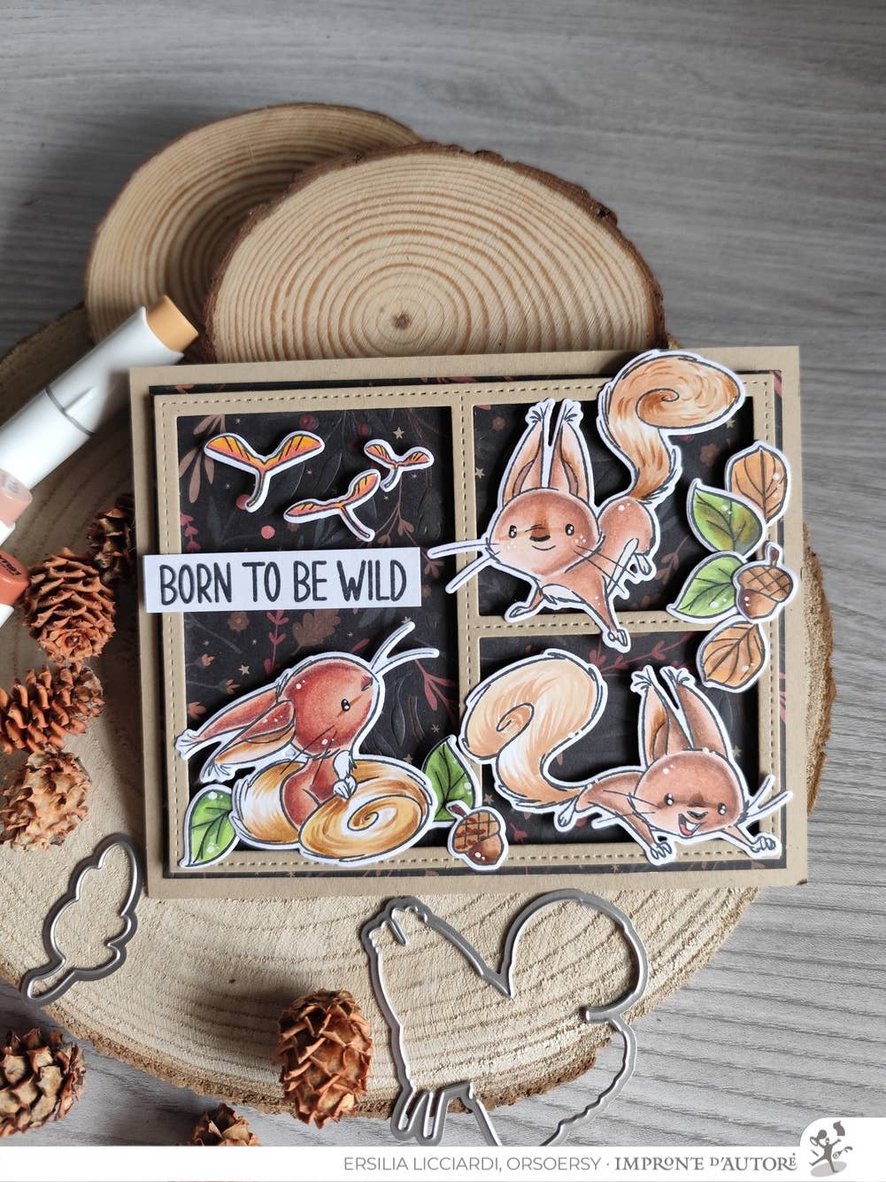 Impronte D'Autore - Wholesale Rubber/Decorative Stamp - Clear polymer stamps Nutty Explorers1