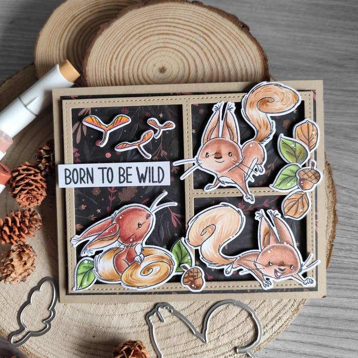 Impronte D'Autore - Wholesale Rubber/Decorative Stamp - Clear polymer stamps Nutty Explorers1