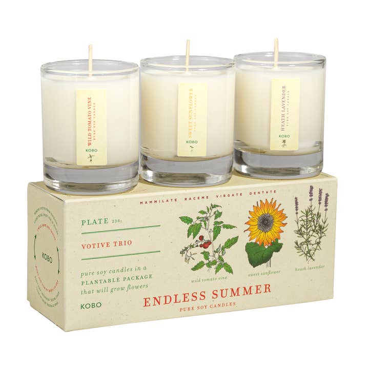 Endless Summer - Trio di candele votive Plant the Box per la vendita all'ingrosso da parte di KOBO
