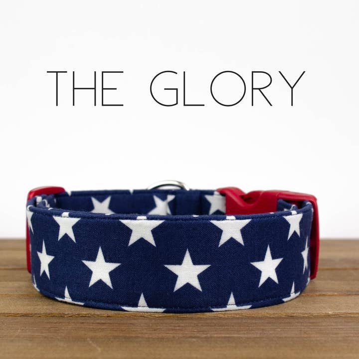 Puddle Jumper Pups - Wholesale Pet Collar - Dog - The Glory