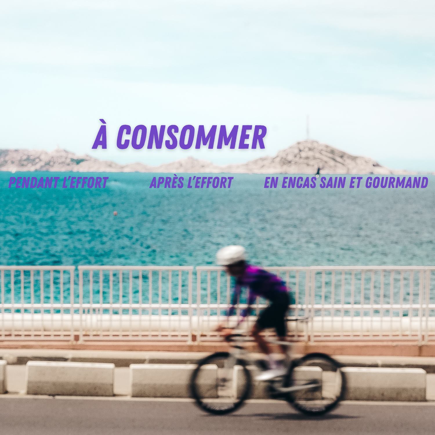 bAAM! - Wholesale Snack Bar - Organic protein bar (40g) - CHOCOLATE 💜4