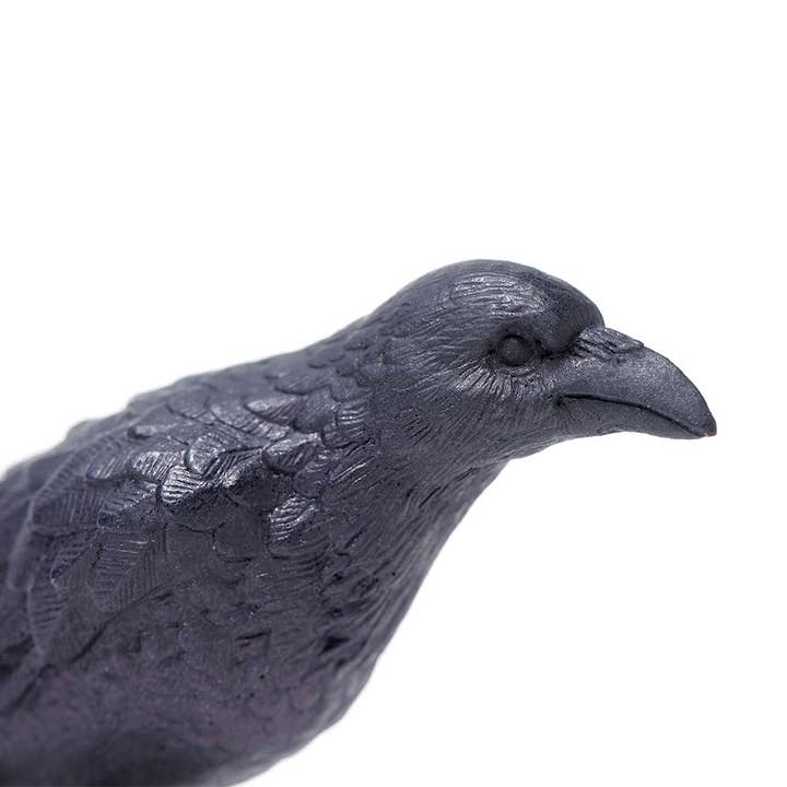 Safari Ltd. - Wholesale Decorative Figurine - Raven - 1508291
