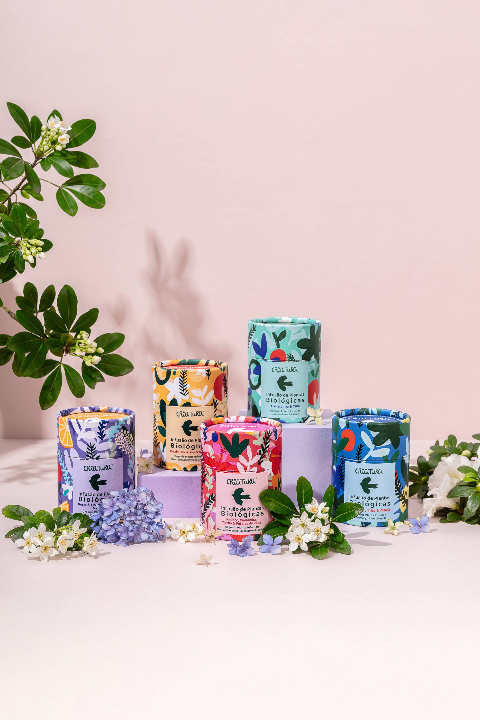 CRIATURA - Wholesale Health/Detox Tea - Organic Herbal Tea- Rosemary, Lime verbena and Tangerine3