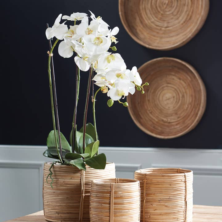 Napa Home & Garden - Wholesale Artificial Flowers - Phalaenopsis Orchid Drop-In 30"-White2