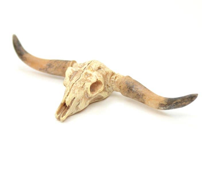 Old West Dry Cattle Skull - #118-1008 for wholesale on Faire1