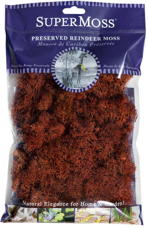 SuperMoss – Großhandel Pflanzen – SuperMoss Rentiermoos konserviert, 57 g Beutel6