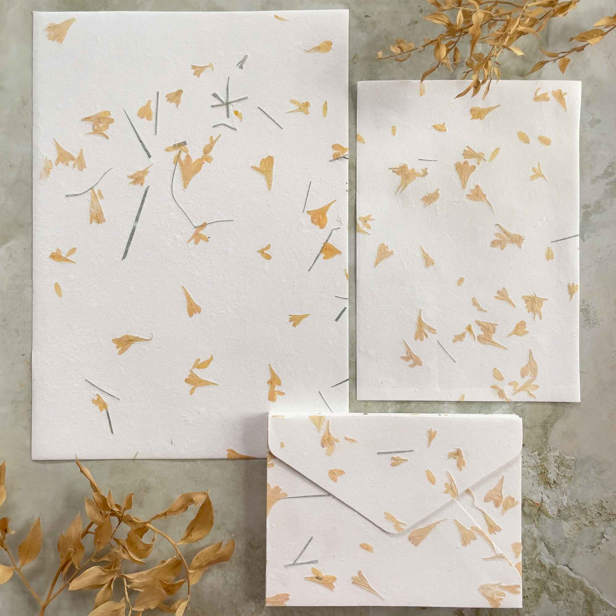 The Natural Paper Company – wholesale Stationery/notecard set – Gaillardia - Flower Handmade Paper and Envelopes | Recycled 11