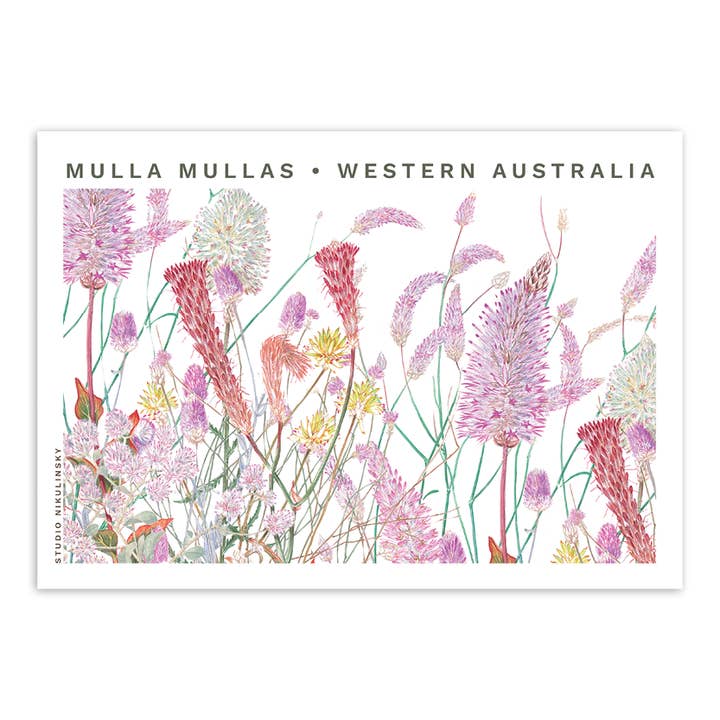 STUDIO NIKULINSKY - Wholesale Postcard - Postcard: Mulla Mullas - Western Australia