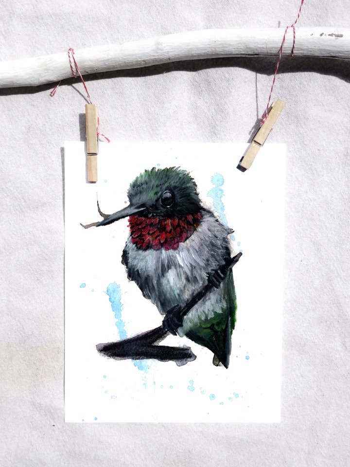 Bird Ruby Red Throated Humming Bird kunst print for engroshandel hos Lindsey Munson