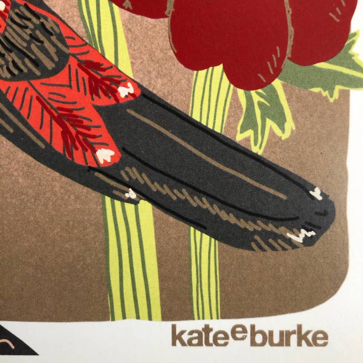 Kate E. Burke - Wholesale Art Print - Bird Series: Red Avadavat 11x14 Digital Print4