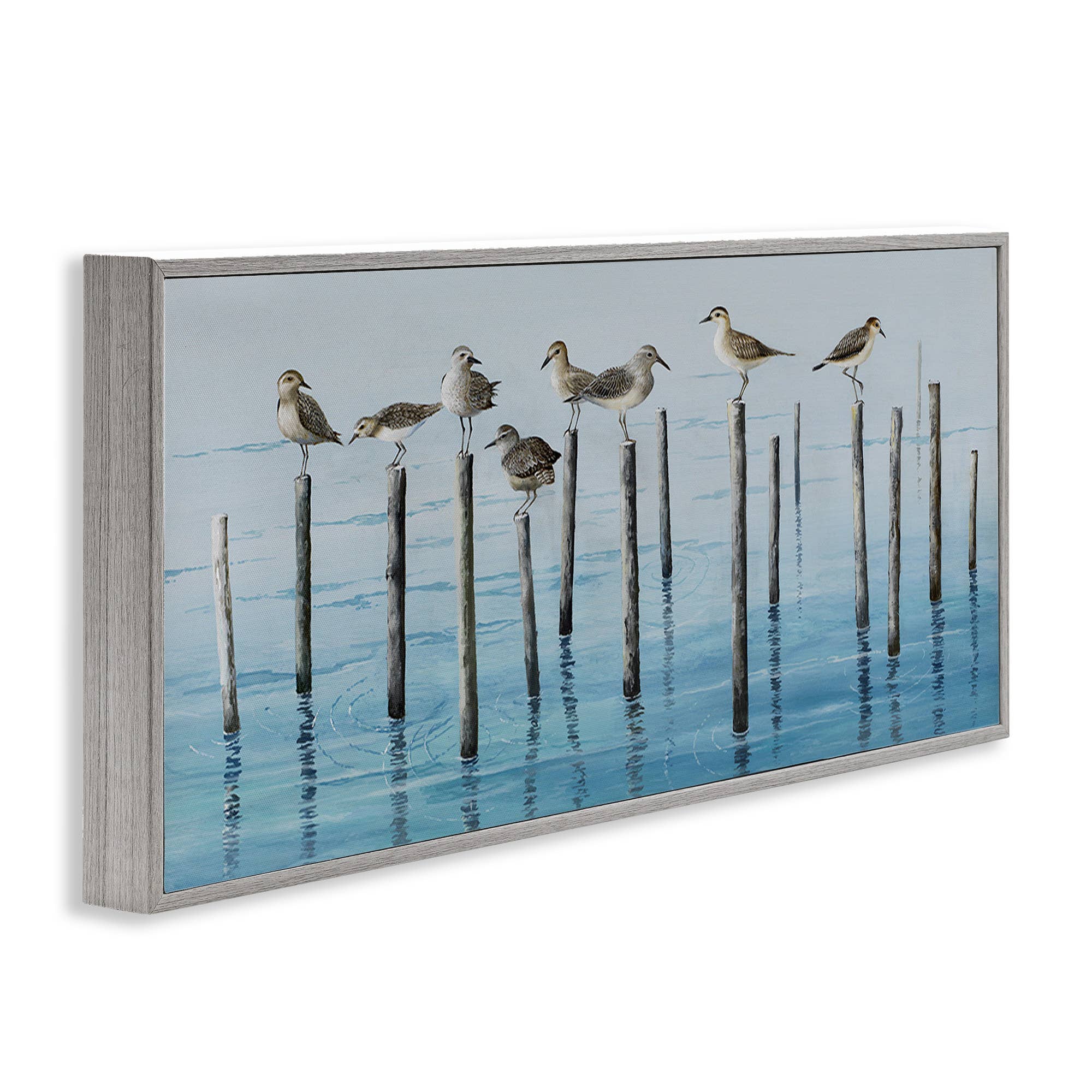 Stupell Industries - Wholesale Wall Sign - Perched Sea Birds - Framed Wall Art17