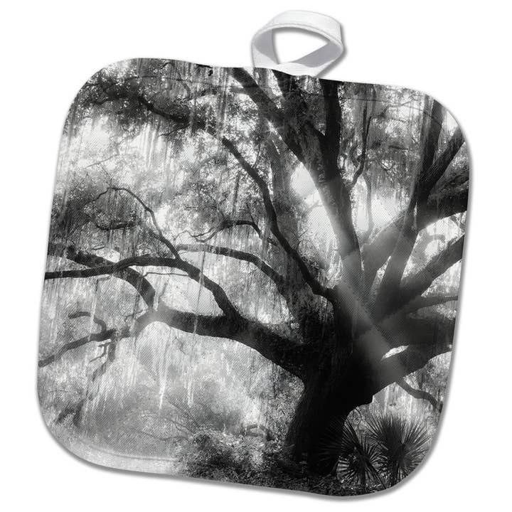 3dRose, Beautiful Southern Live Oak tree, Quercus Virginiana, Central Florida., Potholder for wholesale by 3dRose