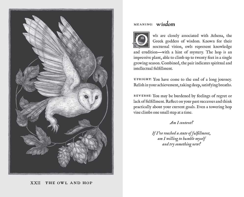 Simon & Schuster - Wholesale Body, Mind & Spirit - Woodland Wardens by Jessica  Roux6