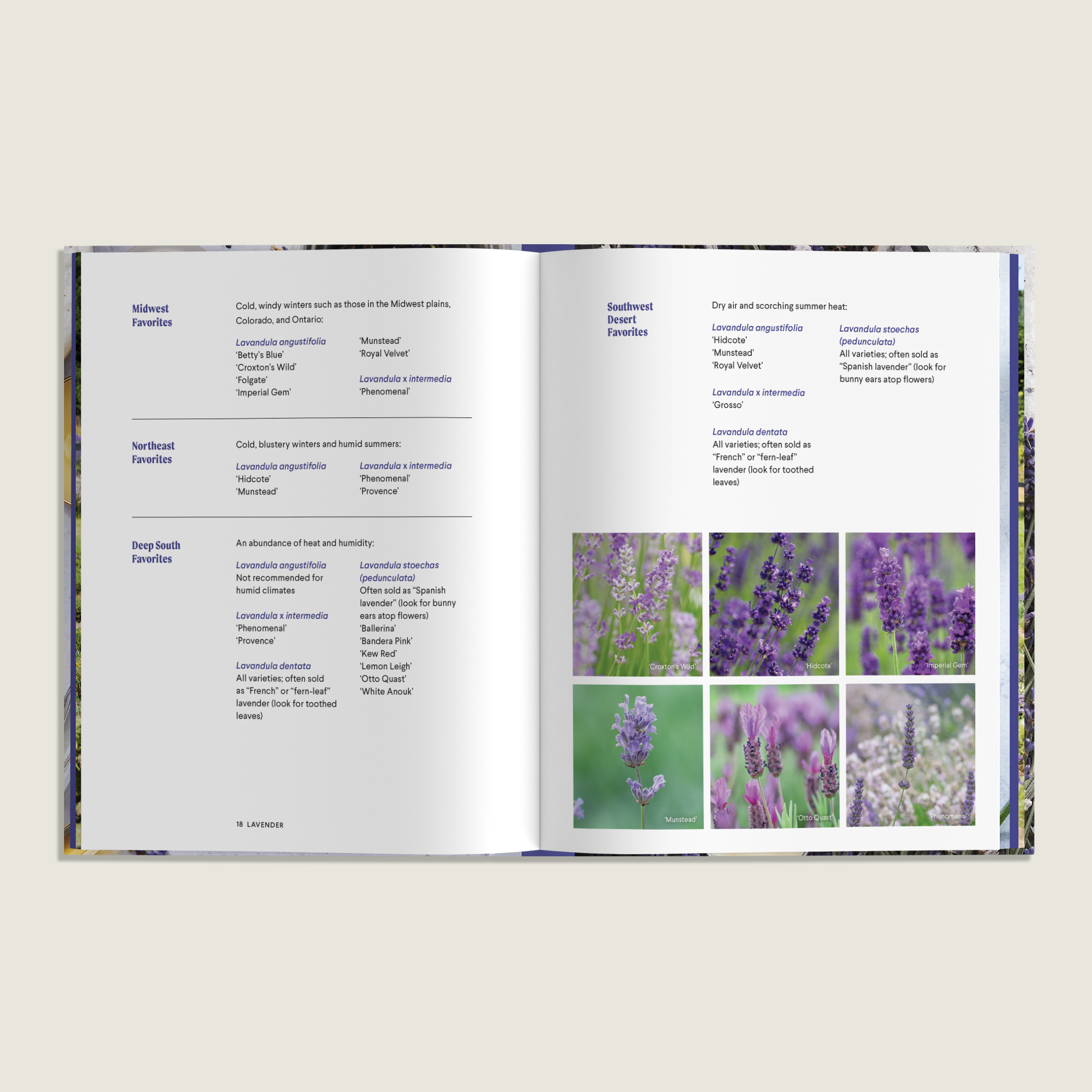 Paige Tate & Co. - Vente Maison et jardin - Lavande : 50 recettes et projets de soins personnels pour le bien-être2