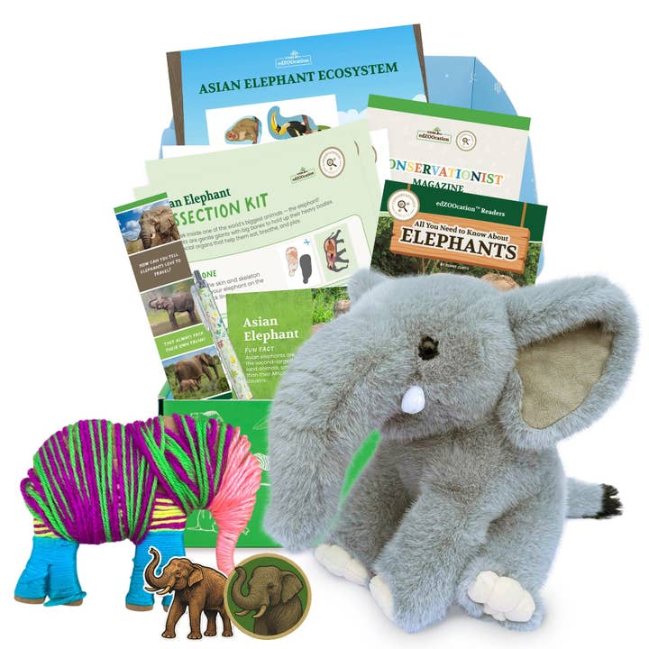 Elephant Conservationist Box (Age 9-12) for wholesale by Wildlife Tree