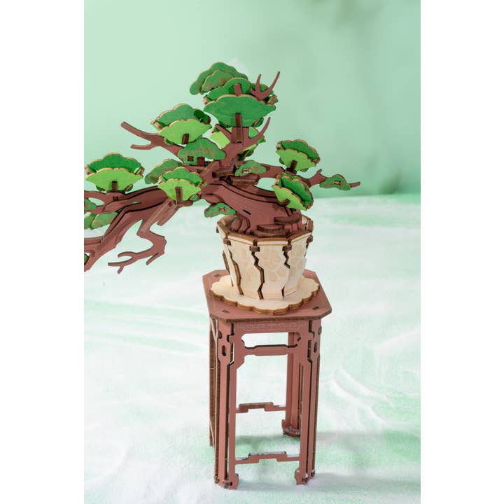 Hands Craft - Wholesale Puzzle - Kids - Modern Wooden Puzzle: Evergreen Pine Bonsai2