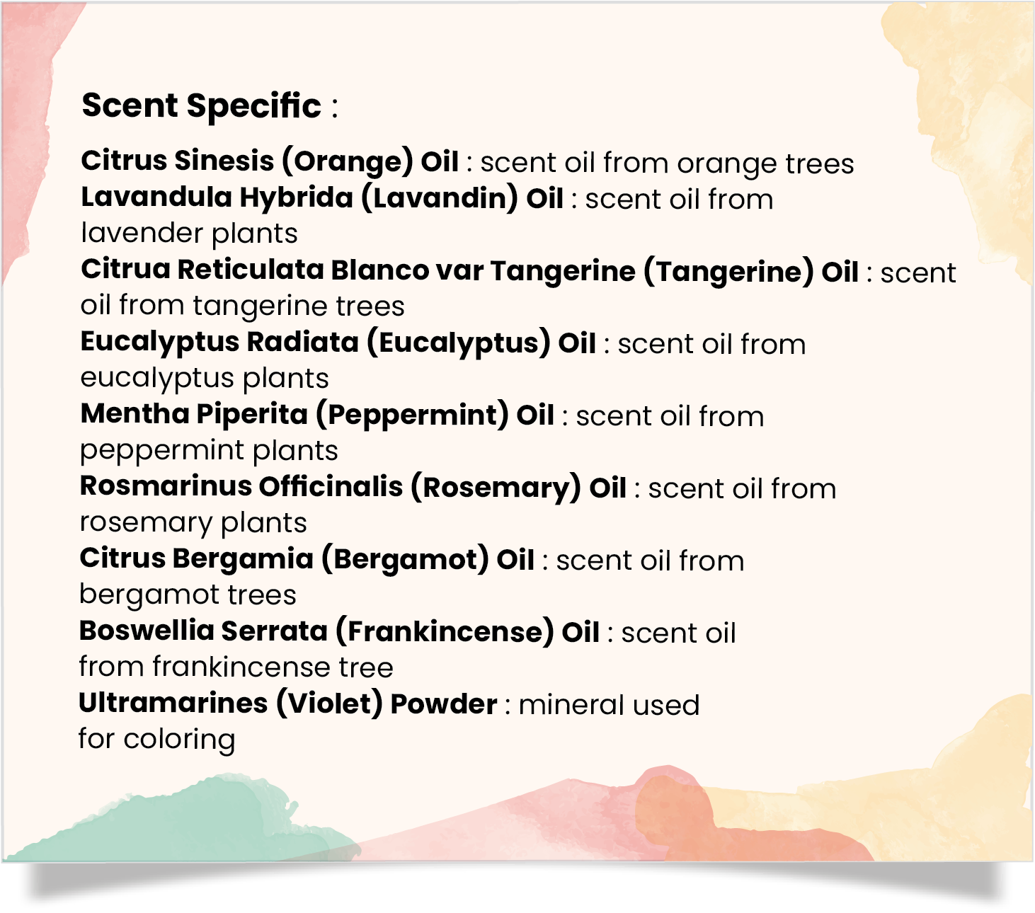 Kensington - Vente Disques de shampoing/shampoings solides - Barre de shampoing entièrement naturelle Bex Bar - paquet de 38