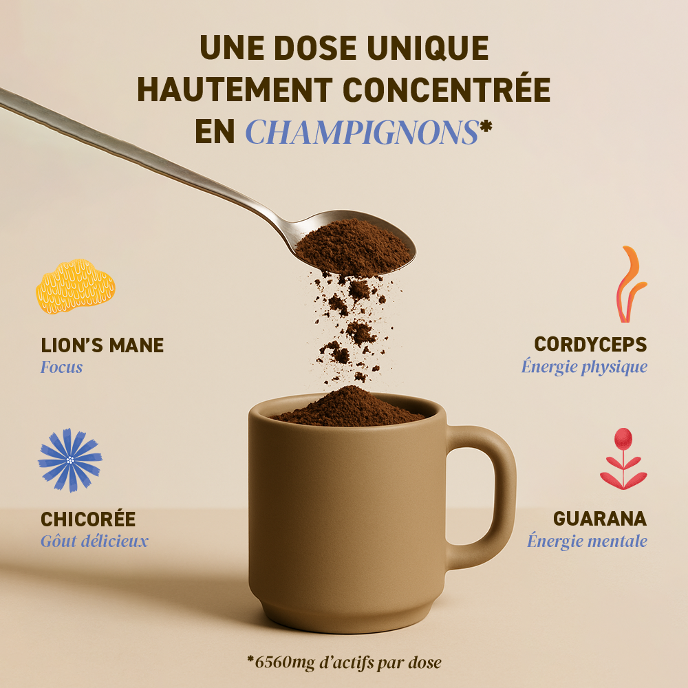 FRENCH MUSH - Wholesale Powdered Health Drink - Boost Drink, your coffee alternative1