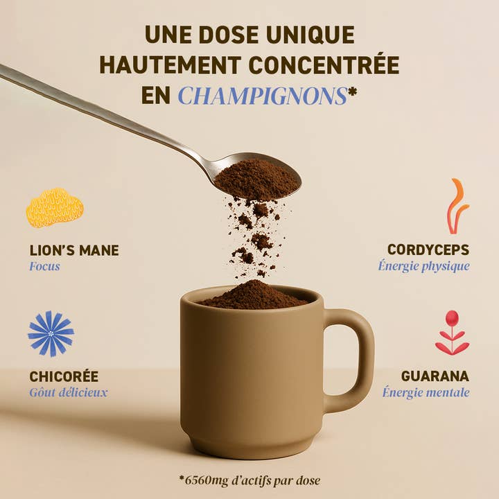 FRENCH MUSH - Wholesale Powdered Health Drink - Boost Drink, your coffee alternative1