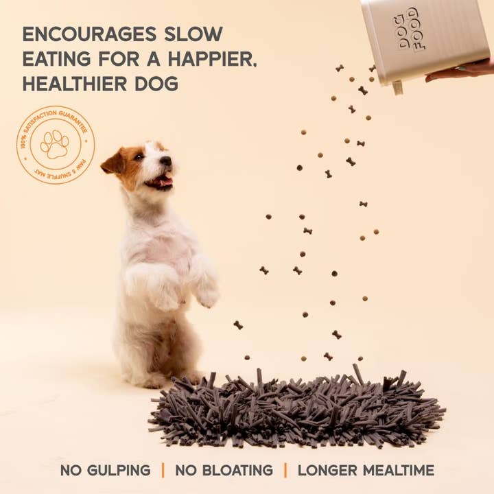 PAW5 - Wholesale Pet Food Mat - Dog - Paw5 Wooly Snuffle Mat - Grey4