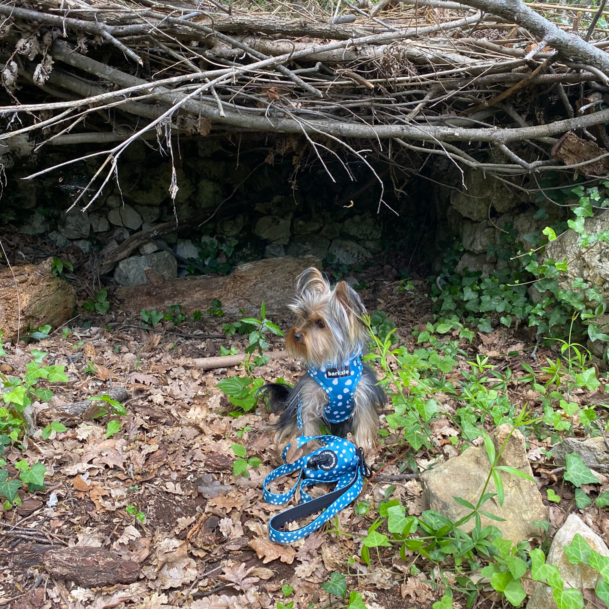 barkzie – Großhandel Leine – Hund – Leine „Nice“ – 1,50 m robuste und flexible Hundeleine2