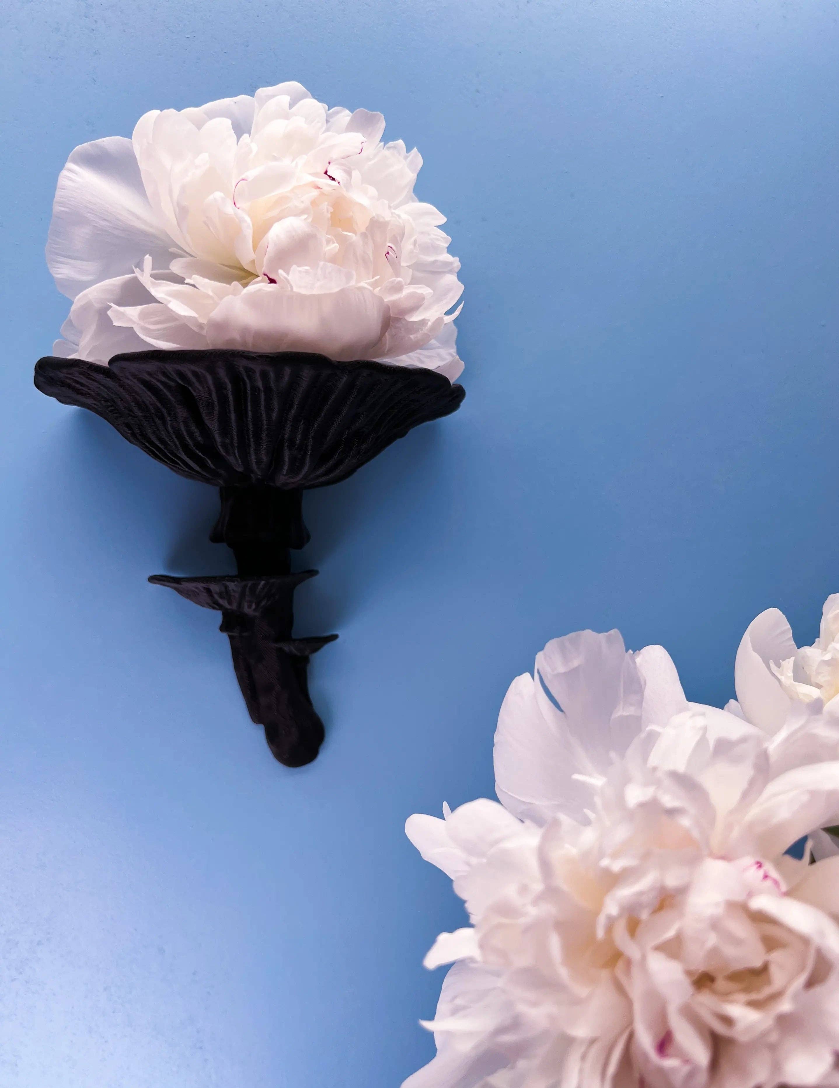 Roomberry - Wholesale Wall Mounted Shelf - Amanita Mushroom Wall Shelf – Floating Shelf for Stylish Decor6