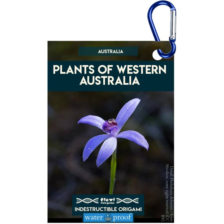 Plants of Western Australia-Indestructible Origami for wholesale by Flexi Field Guides