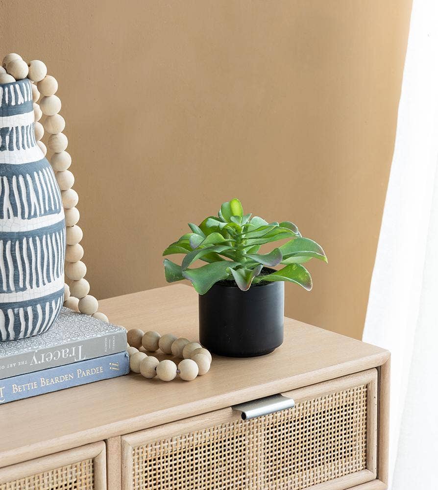 A&B Home Group Inc. – wholesale Artificial plant – Potted Succulent22