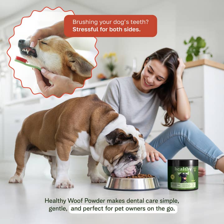 Healthy Woof - Wholesale Pet Supplement - Dog - Healthy Woof Dog Dental Powder for Clean Teeth, Big size4