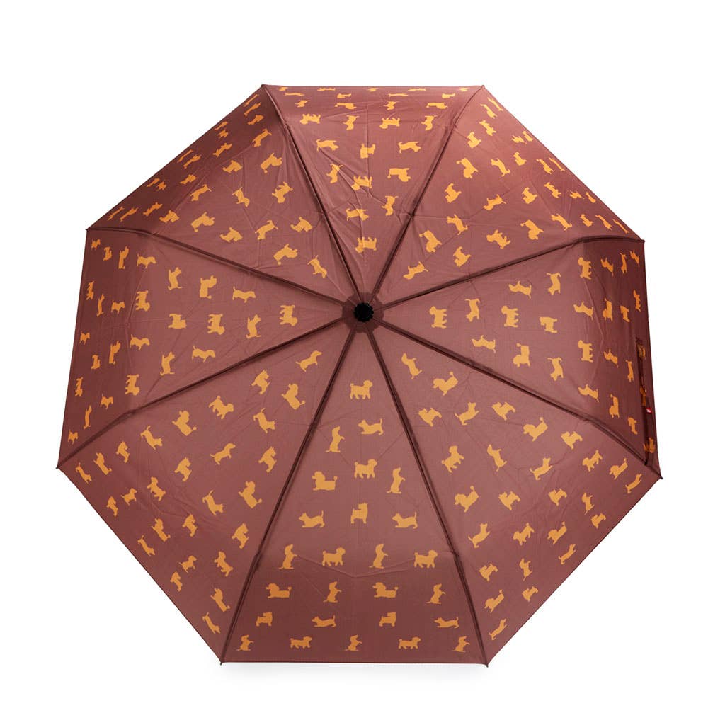 Balvi - Wholesale Umbrella - Unisex - Umbrella, Puppymbrella, brown, with cover, nylon5