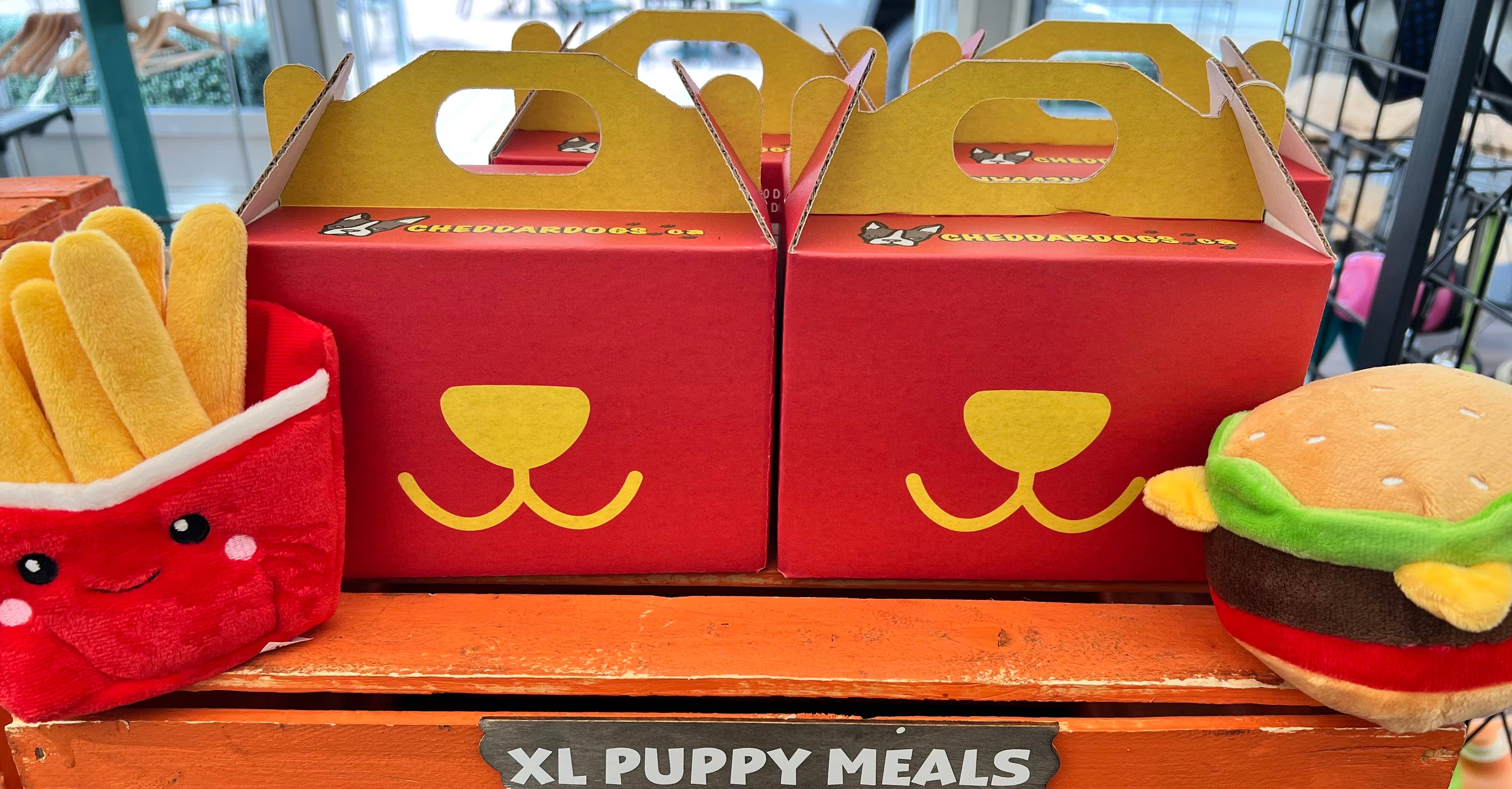 Cheddar Dogs - Vente Friandises – chien - Repas pour chiots5