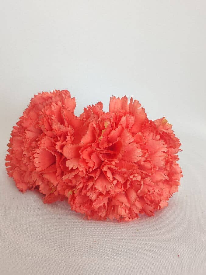 KORALLENNELKE für den Großhandel von CAPELLINA