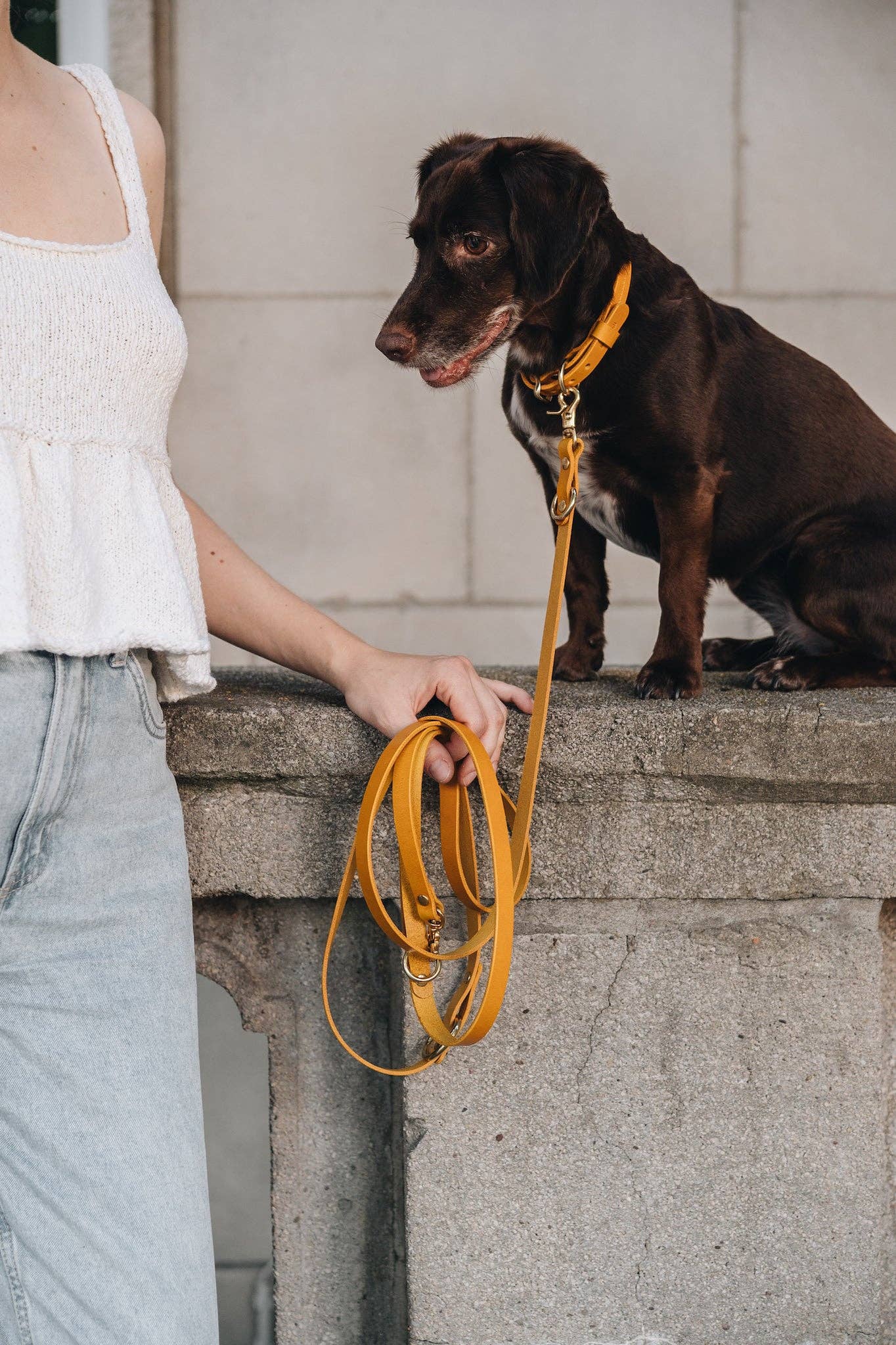BAND&ROLL - Venta al por mayor Correa - Perros - Correa ligera de piel para perros con manos libres. Lasso Air15