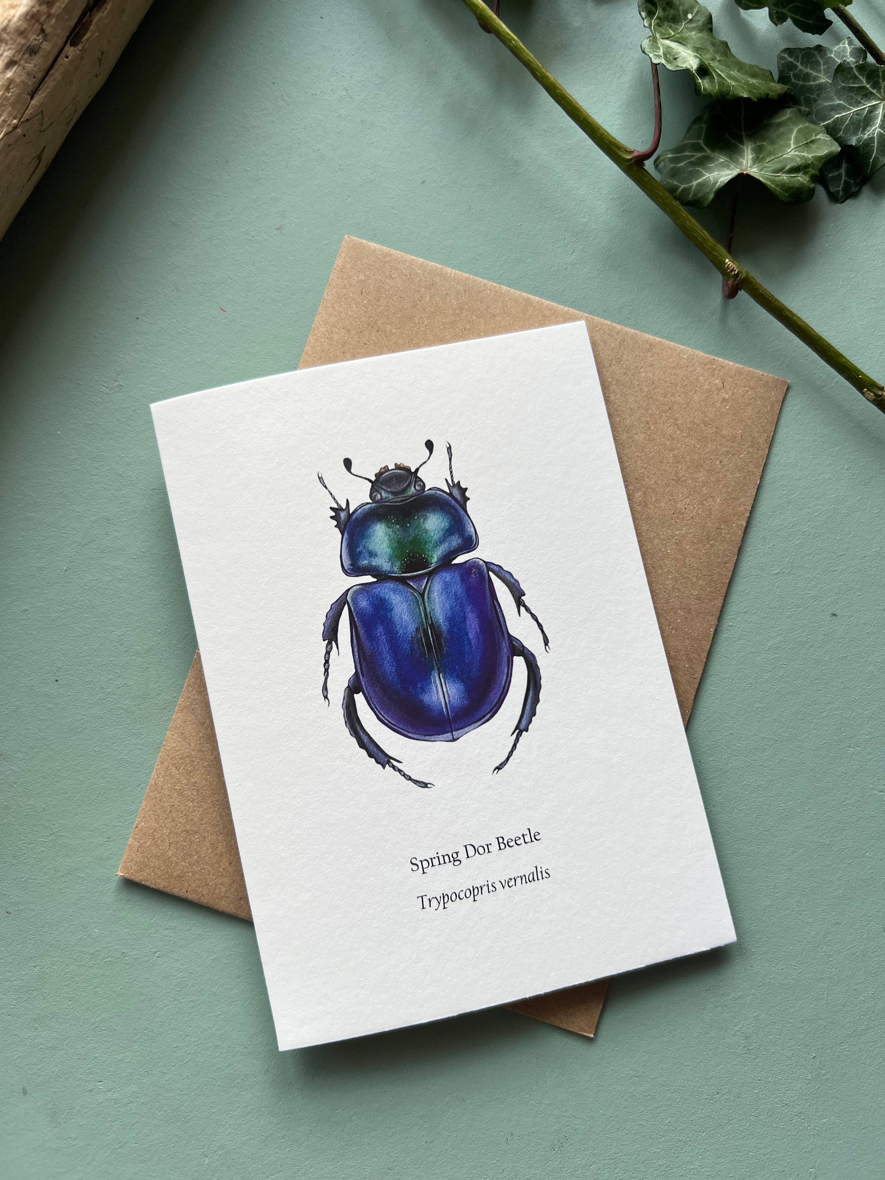 Tansy Moore - Wholesale Everyday Greeting Card - Spring Dor Beetle, Blank Greeting Card 8